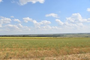 DSC_0467.JPG