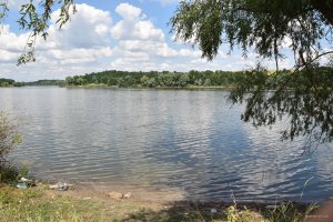 DSC_0474.JPG