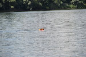 DSC_0478.JPG