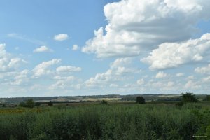 DSC_0490.JPG