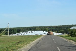 DSC_0002.JPG