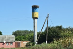 DSC_0114.JPG
