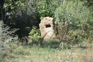 DSC_0118.JPG