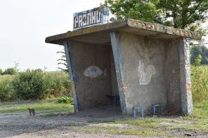 DSC_0124.JPG