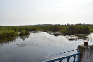 DSC_0125.JPG