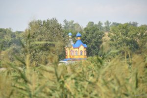 DSC_0129.JPG