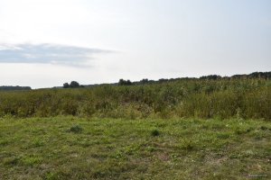 DSC_0131.JPG