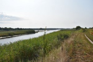DSC_0138.JPG