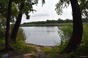 DSC_0162.JPG