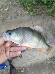 IMG_20210830_180248.jpg