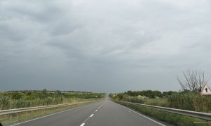 DSC_0311.JPG