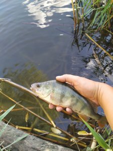 IMG_20210901_151446.jpg