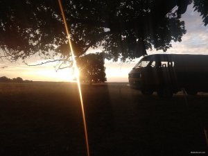 IMG_20210904_062051622.jpg