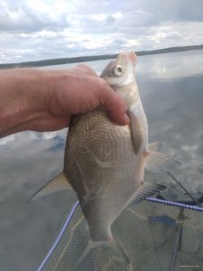IMG_20210906_142217.jpg