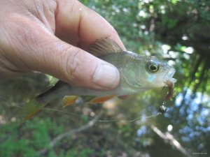 IMG_5977.JPG