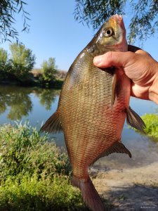 IMG_20210910_091301.jpg