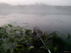 IMG_20210912_061059_sm.jpg