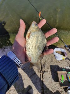 IMG_20210917_112329.jpg