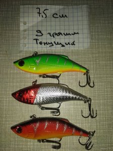 IMG_20210916_113447.jpg