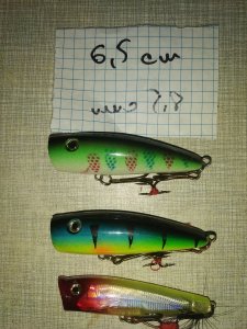 IMG_20210916_113921.jpg