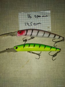 IMG_20210916_114947.jpg
