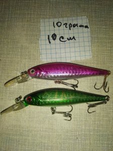 IMG_20210916_115423.jpg