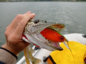 IMG_20210923_135112.jpg