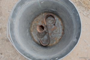 IMG_4761.JPG