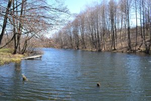 DSC_0610.jpg