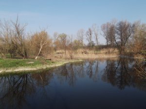 DSCF8261.JPG