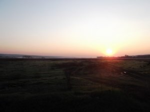 DSCF8254.JPG