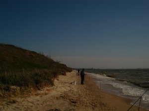 DSC06683.3JPG.jpg