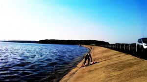IMAG0728-1.jpg