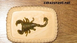 formaskorpion4L.jpg