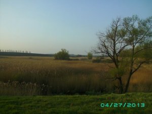PICT0252.JPG