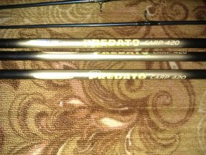 IMAG0207.jpg