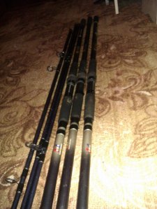 IMAG0211.jpg