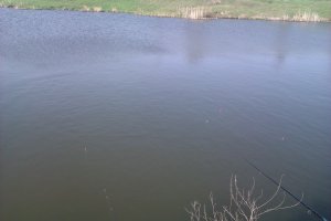 IMAG0172.jpg