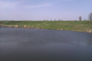 IMAG0173.jpg
