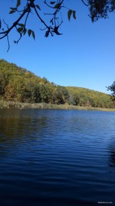 P11009-131239[1].jpg