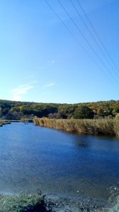 P11009-150824[1].jpg