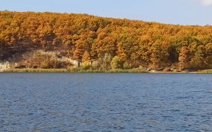 IMG_20211018_110539.jpg