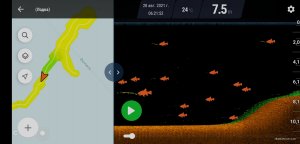 Screenshot_2021-10-20-10-12-17-151_eu.deeper.fishdeeper.jpg