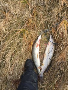 0A093829-795F-45CB-A17A-51FF2D1B9061.jpeg