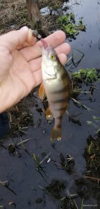 IMG_20211106_140638.jpg