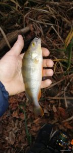 IMG_20211106_154451.jpg