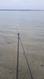 IMG_20211114_123622.jpg