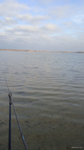IMG_20211114_135507.jpg