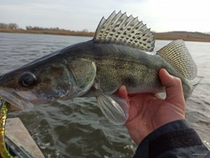 IMG_20211028_125744.jpg