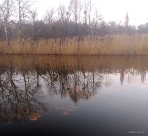 lopan_131121-2.jpg